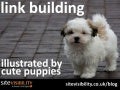 How To Do SEO Link Building- Illustrated By Cute Puppies