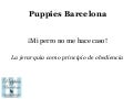 Puppies Bcn: La obediencia de tu perro