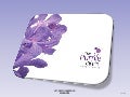 The Hotel Purple Circle presentation