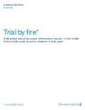 PriceWaterhouseCoopers: Information Security 2010 - Trial by Fire (Survey)