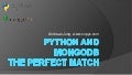 Python mongo db-training-europython-2011