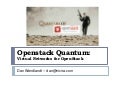 Quantum diablo summary