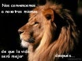 Que es lo que esperas?