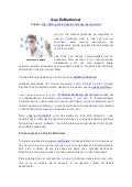Que es Multinivel