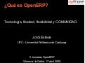 ¿Que es Openerp?
