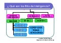 ¿Qué son los Bits de Inteligencia?