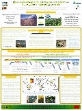 Poster22: Quesungual slash & mulch agroforestry systems and eco-efficient philosophy of life 