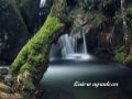 Quiero agradecer
