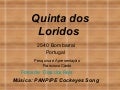 Quinta dos loridos 2