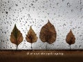 Quotable Quotes