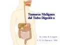 Tumores malignos del Tubo Digestivo