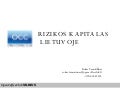 R. Tamosiunas - Rizikos Kapitalo Fondai Lietuvoje