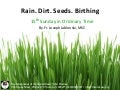 Rain. Dirt. Seeds. Birthing.