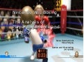 Raisa&rsquo;s and Mike&rsquo;s Wii Boxing game test presentation