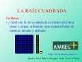 Raiz cuadrada