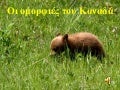 οι ομορφιές του καναδά