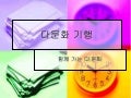 한국 다문화 기행 전흥진