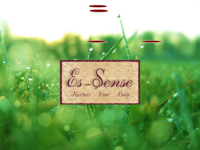 ביקור בסבוניה