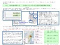 児玉龍彦国会発表概要