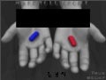 [바디랭귀지 강의 자료 3탄] 바디랭귀지의 비밀(Secret of Body Language)