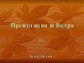 презентация за видра