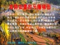 元陽梯田