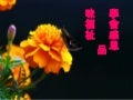 感恩