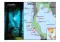 แหล่งดำน้ำเกาะเต่า-นางยวน
