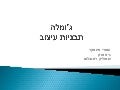 מצגת ערכות עיצוב