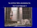 παθολογια κουνελιου