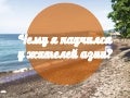 Чему я научился у жителей азии — Корниенко Александр