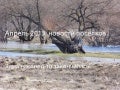 новости поселков