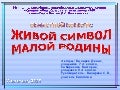 Пион тонколистный - Аленький цветочек