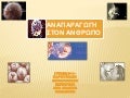 αναπαραγωγικό σύστημα ανθρώπου (εργασία μαθητών Α6)