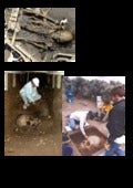 атлантите   расата на великаните