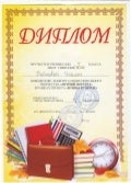 птицы в городе