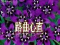 路曲心直