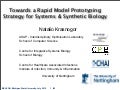 Towards a Rapid Model Prototyping  Strategy for Systems & Synthetic Biology