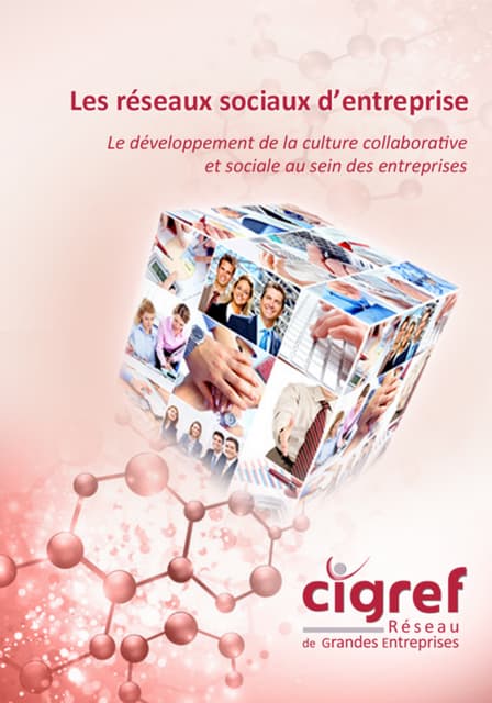 Rapport CIGREF - Les réseaux sociau...
