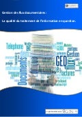 Rapport Gestion Des Flux Documentaires