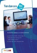 Rapport 2009 Observatoire Aquitain de l'Economie Numérique