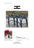 Rapport Wereldbeelden Van Wereldbedrijven Pdf