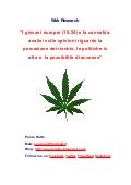 I giovani europei (15-24) e la cannabis: la percezione del rischio, le politiche in atto e la possibilità di accesso