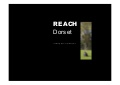 REACH Dorset 2009 PDF version