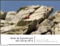 Real Life Experiences With Library APIS