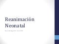 Reanimación neonatal