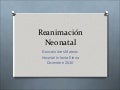  Reanimación neonatal 2010