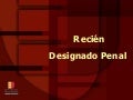 ENJ-100 Recién Designados Penal   2  2009