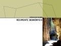 Recipiente biomórfico moodle