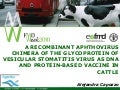 Recombinant aphtovirus ACapozzo